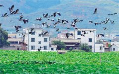 強化招商引資 推進園區(qū)建設——訪市黨代表、工業(yè)園區(qū)主任李俊龍
