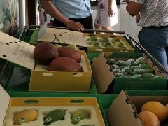 森林生態(tài)康養(yǎng)旅游產業(yè)規(guī)劃
