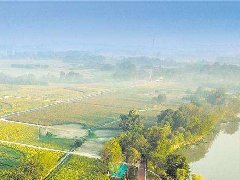 廣州出臺12條措施促進文旅產(chǎn)業(yè)發(fā)展
