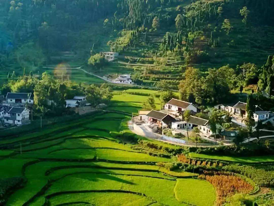 市政協(xié)委員調(diào)研國(guó)家農(nóng)業(yè)科技園區(qū)青浴豬集聚示范區(qū)建設(shè)