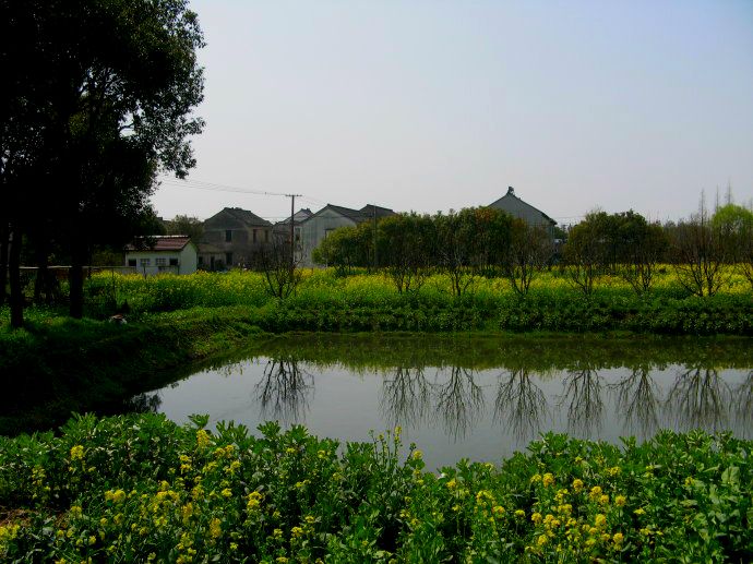 上海鄉(xiāng)村振興，建設(shè)美麗綠色幸福“三園”