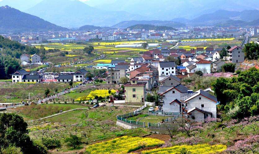陳文勝：鄉(xiāng)村振興的資本、土地與制度邏輯