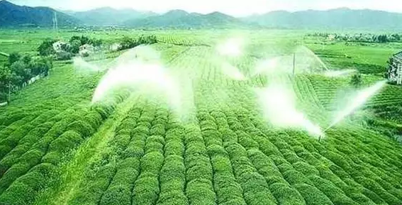重磅！2019中央一號(hào)文件即將發(fā)布！大農(nóng)業(yè)領(lǐng)域迎來(lái)新機(jī)遇