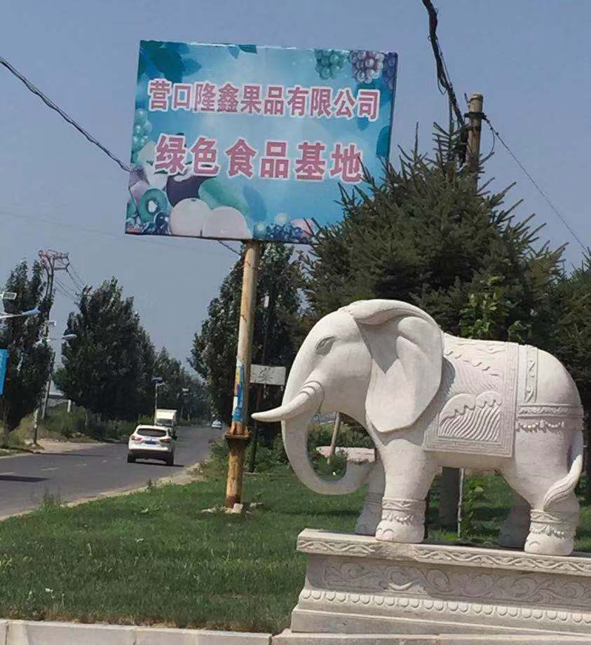 東北水果之鄉(xiāng)迎來(lái)發(fā)展新機(jī)遇，蓋州爭(zhēng)創(chuàng)省級(jí)現(xiàn)代農(nóng)業(yè)產(chǎn)業(yè)園