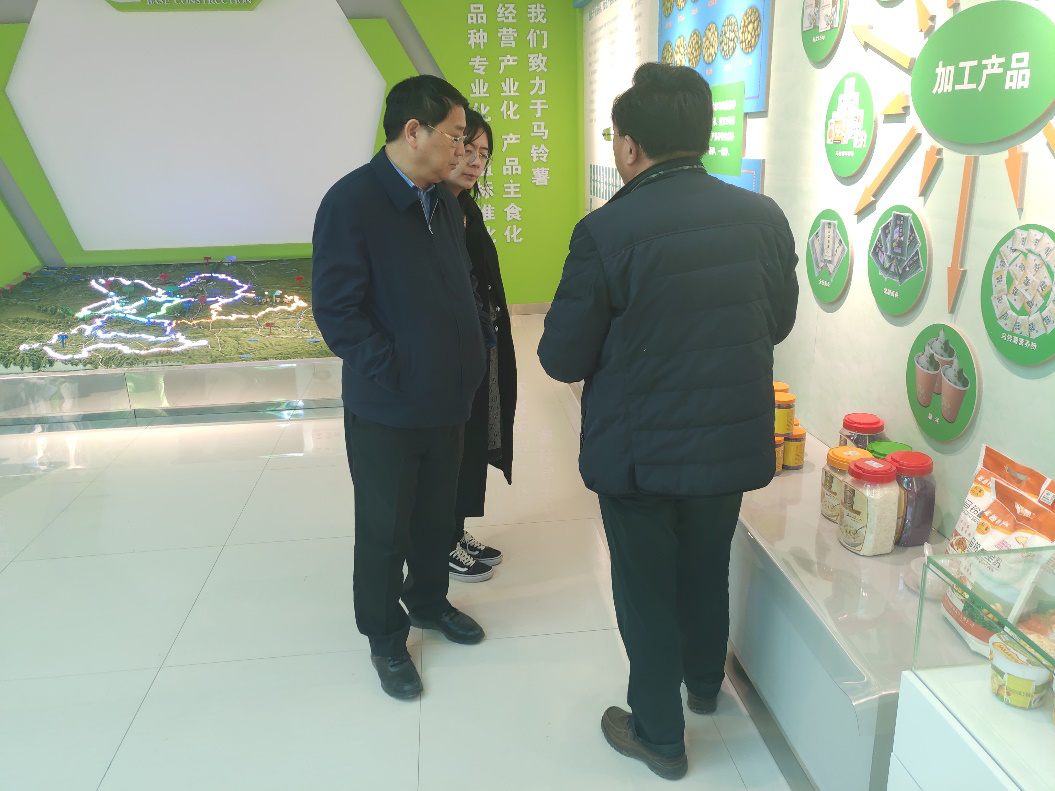 “中國薯都”再奏新旋律，定西市安定區(qū)開啟馬鈴薯產(chǎn)業(yè)發(fā)展新篇章